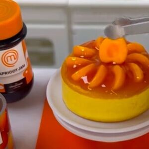 Mini Verse Almond & Apricot Cheesecake